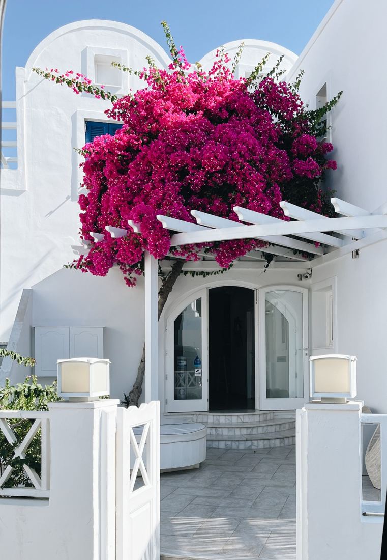 White architecture framed by pink flowers